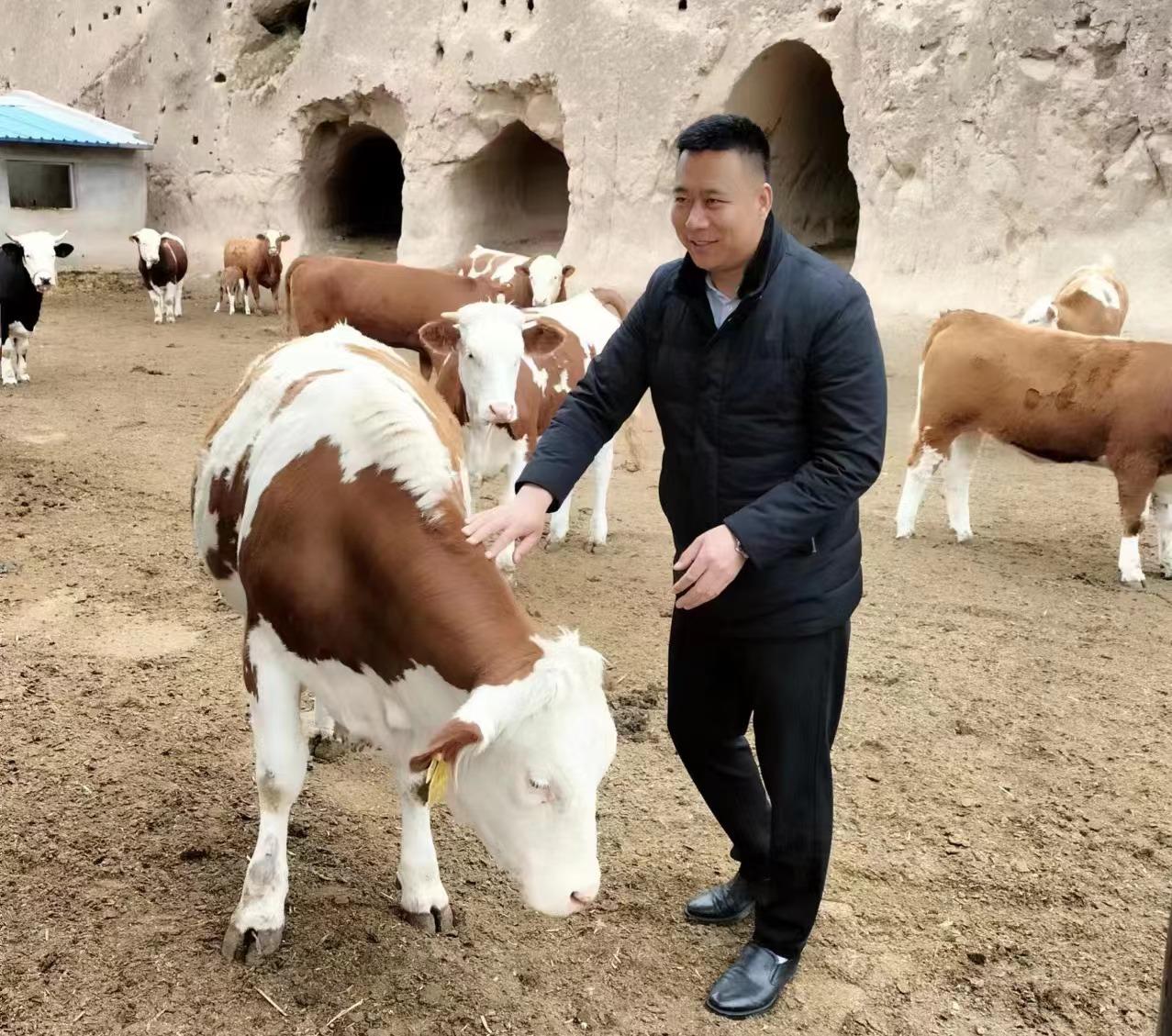 2.jpeg